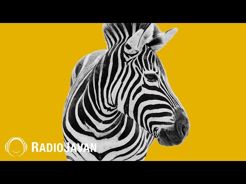 Zedbazi - "Yakh" OFFICIAL AUDIO | زدبازی - یخ