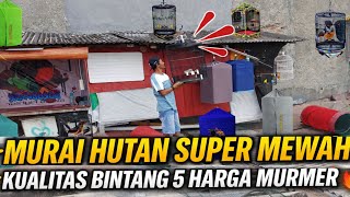 Download lagu GAK MASUK AKAL‼️ KIOS BURUNG DI ATAP RUMAH 🔥JUAL MURAI HUTAN KUALITAS BINTANG 5 HARGA MURMER mp3 Download lagu GAK MASUK AKAL‼️ KIOS BURUNG DI ATAP RUMAH 🔥JUAL MURAI HUTAN KUALITAS BINTANG 5 HARGA MURMER mp3