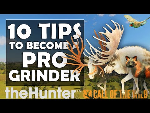 10 TOP TIPS for Becoming a PRO GRINDER in Call of the Wild!!!