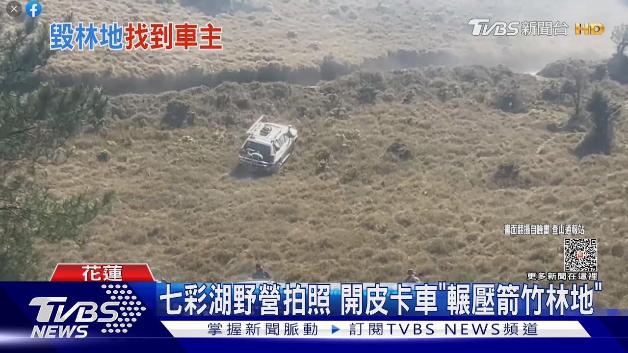 七彩湖箭竹林遭輾　張小柚拍片：切西瓜不是我