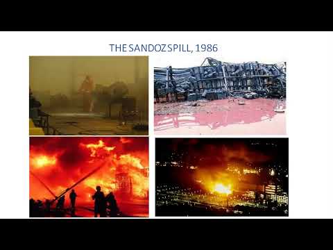 Sandoz Spill Disaster