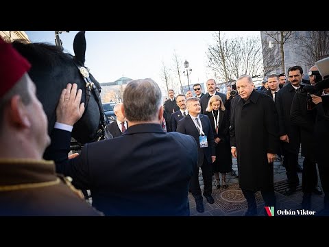 خلال زيارته للمجر.. أردوغان يهدي أوربان سيارة كهربائية صنعت في تركيا ويحصل بالمقابل على حصان مجري