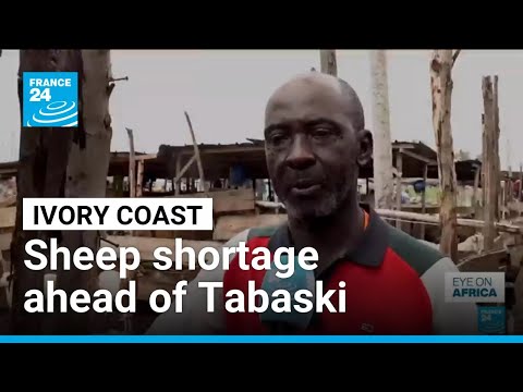 I. Coast faces sheep shortage ahead of Tabaski amid Sahel trade disruptions