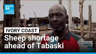 Ivory Coast faces severe sheep shortage before Tabaski as Sahel trade collapses