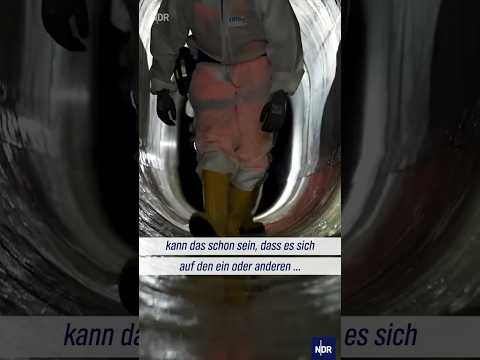 Video Thumbnail: Unterwegs in Hamburgs Unterwelt #ndr #doku #hamburg