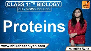 Proteins | Biomolecules | CBSE Class 11 Biology
