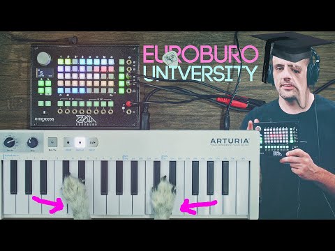 ZOIA Euroburo: 3 Ideas & How To Make Them