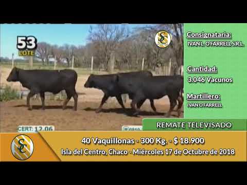 17-10-18 - Remate Televisado de IVAN O FARRELL -  Chaco