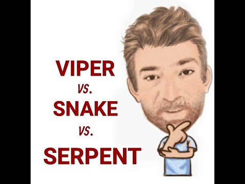 English Tutor Nick P Lesson (651) The Difference Between Snake, Serpent and Viper