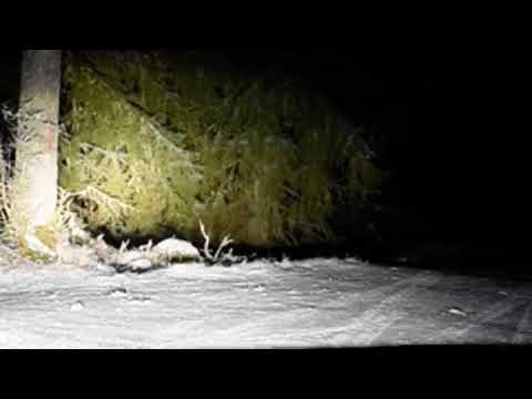 The child murderer cross (Barnmördarkorset)