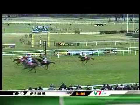 24/03/2013, Pisa , Premio Pisa-betflag C.naz.