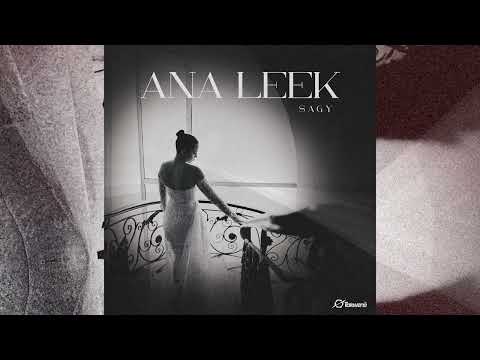 Sagy - Ana Leek | ساجي - أنا ليك (Prod. @momenrihan1 )