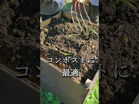 庭にミミズを引き寄せる方法は？家庭菜園の大切な友人への間違いのないアドバイス  庭園