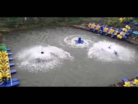 Hot Sale Stainless Steel Aquaculture 4 Impellers Paddle Wheel Fish Pond Aerator Equipment