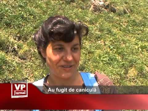 Au fugit de caniculă