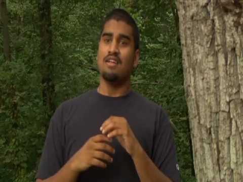 Tip #18- What If I Missed the Filing Deadline?