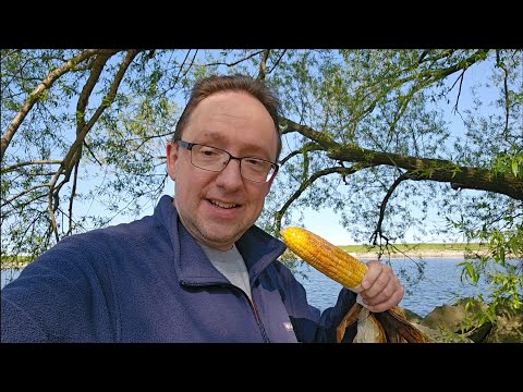 Festa Italiana 2025 - Bel tempo - Ancora ridimensionato