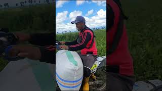 Download lagu daerah wajo full lumpur #pejuangrupiah #fypviral mp3