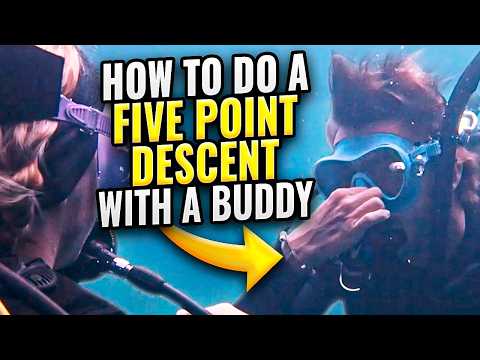 Scuba Diving: How to Do the 5 Point Descent With a Buddy