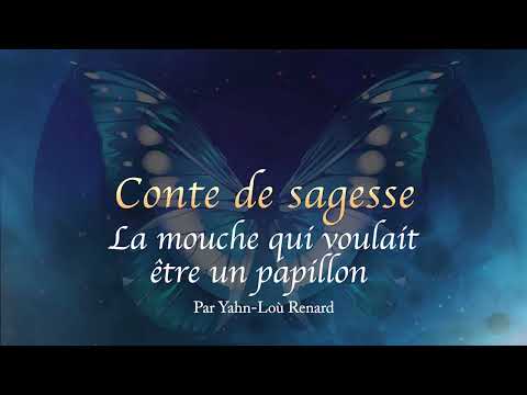 A Tale of Wisdom - The Fly Who Wanted to Be a Butterfly