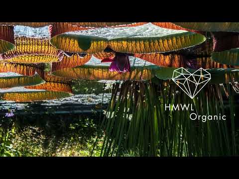 Greg Ochman - Eclo (Original Mix) [Organic House 2025/Melodic Therapy]