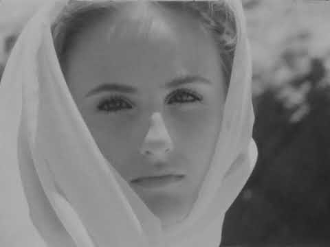 Nova Miller - venus [Official Video]