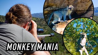 Blasting Monkeys & Baboons in South Africa! | Baviaanskloof Hunting Series, pt.3