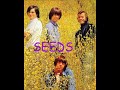 SEEDS "the other place" GARAGE rock classic!