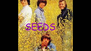 SEEDS &quot;the other place&quot; GARAGE rock classic!