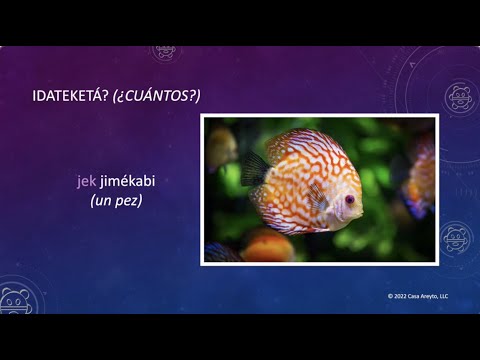 Let's Talk Taíno en español 31 - Los números 1 a 5 🔢