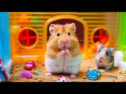 🐹 World's Largest Hamster Maze🐾 Obstacle Course Challenge | Hamster Escapes