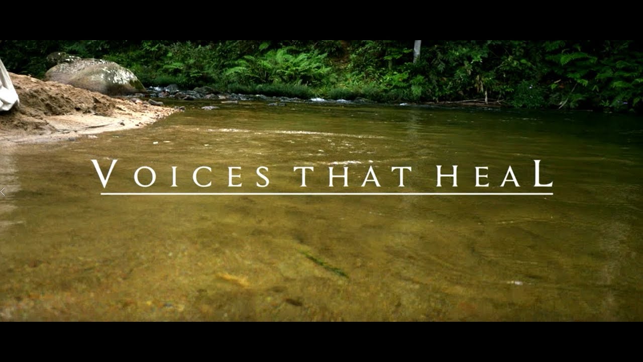 Voices That Heal (2018)