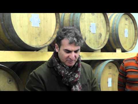 download lagu mp3 mp4 Cantina Gianfranco Fino, download lagu Cantina Gianfranco Fino gratis, unduh video klip Cantina Gianfranco Fino