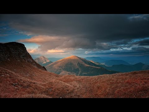 Salmos 116:12-19 | Mordechai Ben David