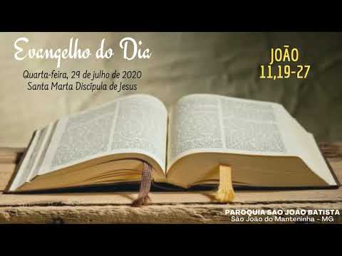 EVANGELHO DO DIA - 29/07/2020