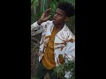 That Tree Was TREE ING ‍ ️ Power Rangers Cosmic Fury