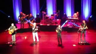 Venice  Free Man in Paris