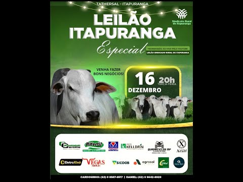 Leilão do Sindicato Rural de Itapuranga -16/12/2025 | Leilão ao Vivo - Leilão de Gado