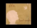 Alela Diane - The Snow 