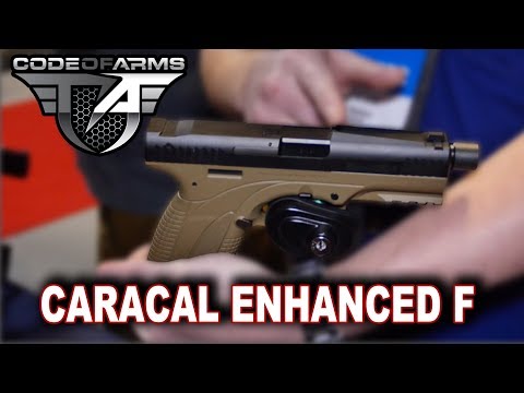 EVERYTHING you could want in a PISTOL?