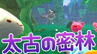 スライムランチャー #13 太古の密林に新種スライム【Slime Rancher】