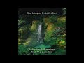Bliss Looper & Activation - Activation Affirmations from the Collective