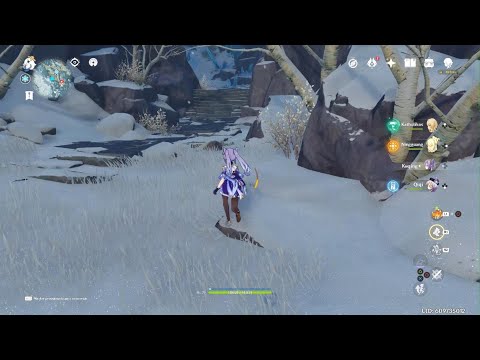 Baú da Raposa Espinha do Dragão