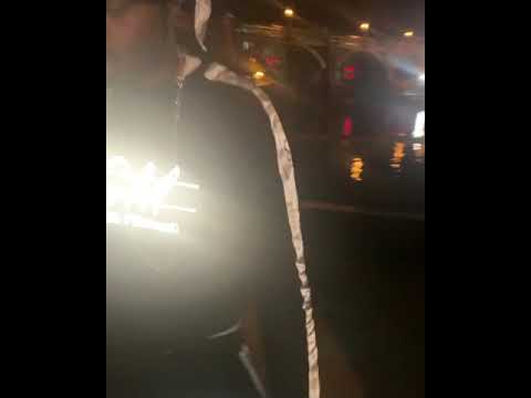 Ray Mula - Dawg and Maggie Snippet