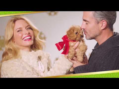 HSN | Football Fan Shop Gifts 11.08.2016 - 06 PM