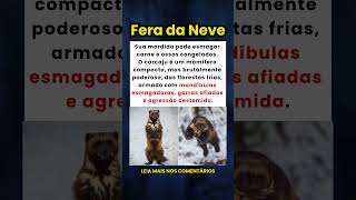 O Carcaju: A Fera que Esmaga Ossos Congelados! 🥶