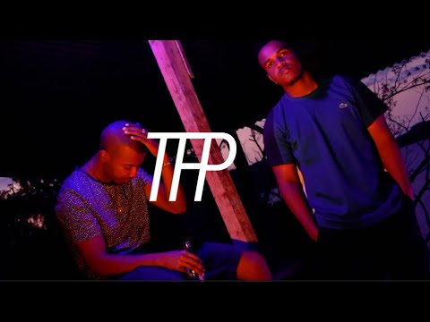 Malteze X Daynir  - Wayé