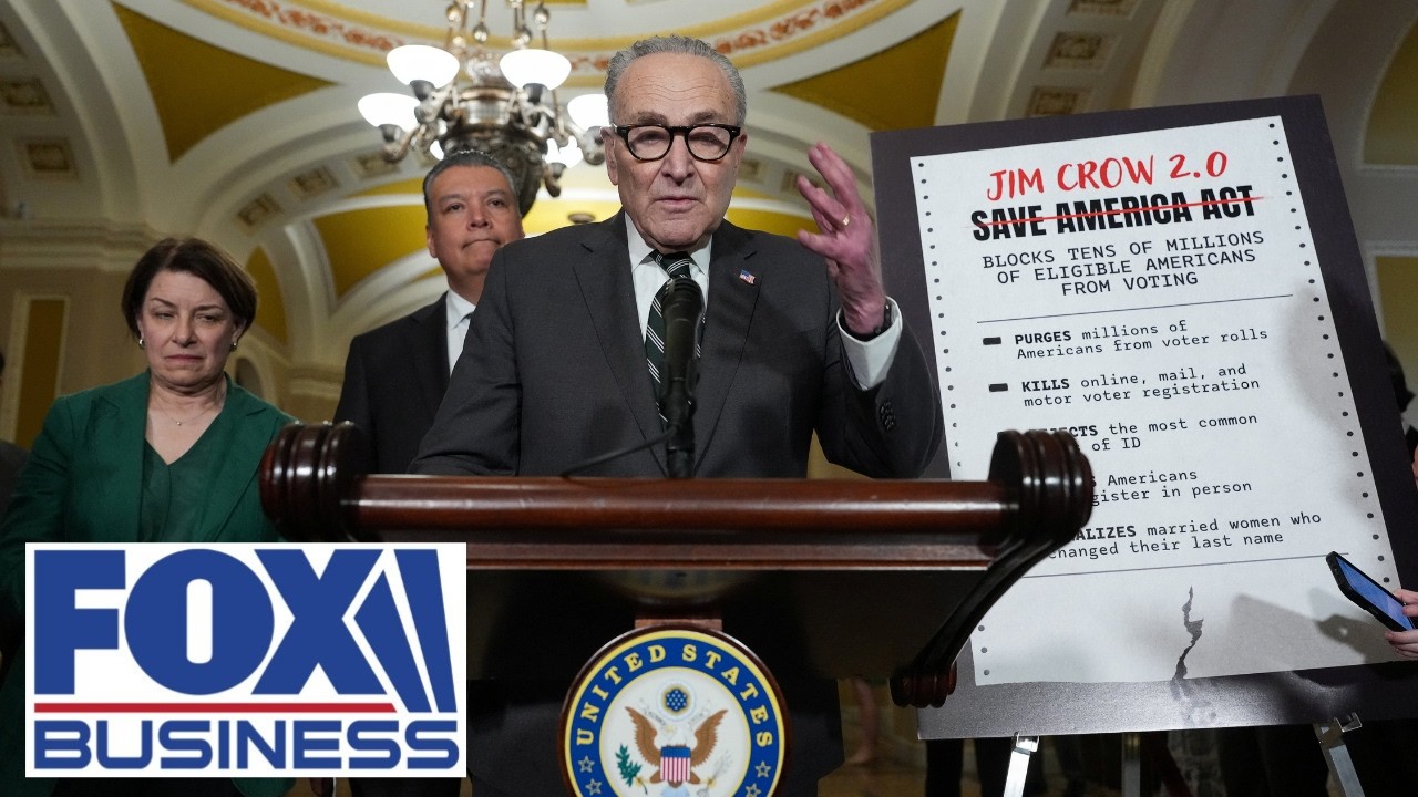 Dems want to make it ‘easy to CHEAT,’ GOP senator says