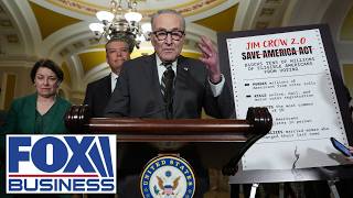 Dems want to make it ‘easy to CHEAT,’ GOP senator says