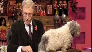 Paul O'Grady Show - Post Bag & Homeless Puppies